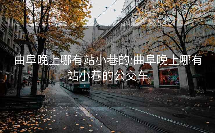 曲阜晚上哪有站小巷的:曲阜晚上哪有站小巷的公交车