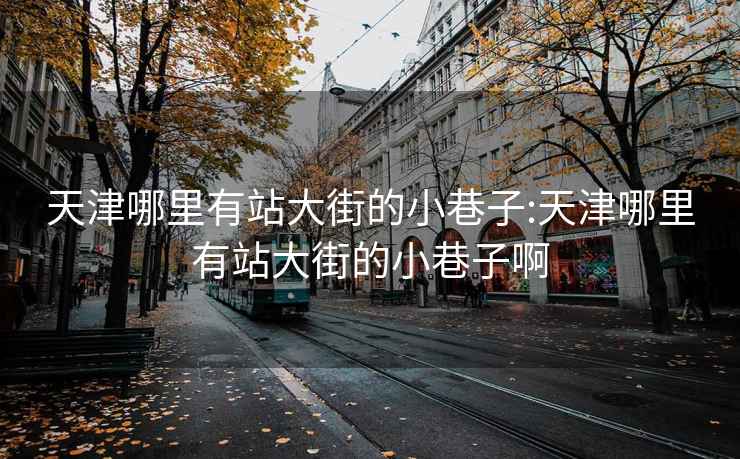 天津哪里有站大街的小巷子:天津哪里有站大街的小巷子啊