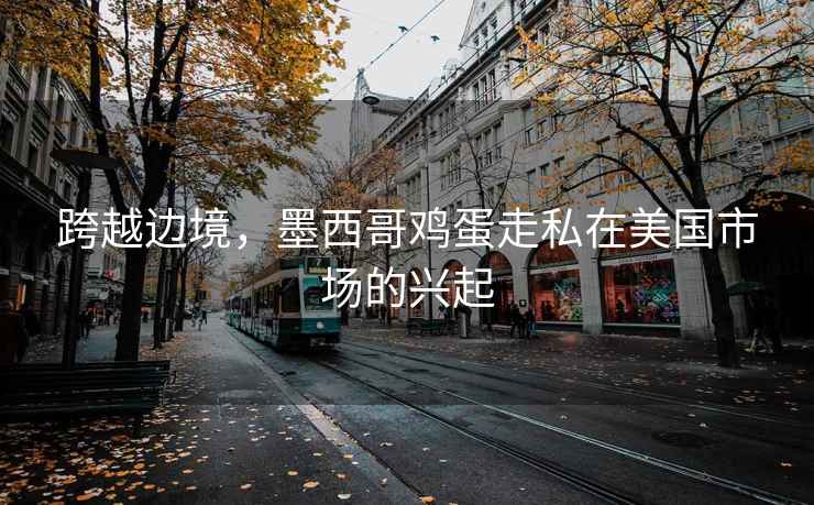 跨越边境，墨西哥鸡蛋走私在美国市场的兴起