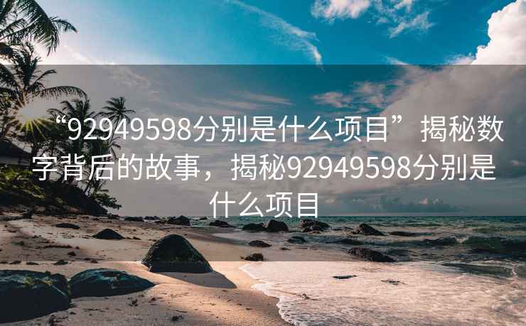 “92949598分别是什么项目”揭秘数字背后的故事，揭秘92949598分别是什么项目