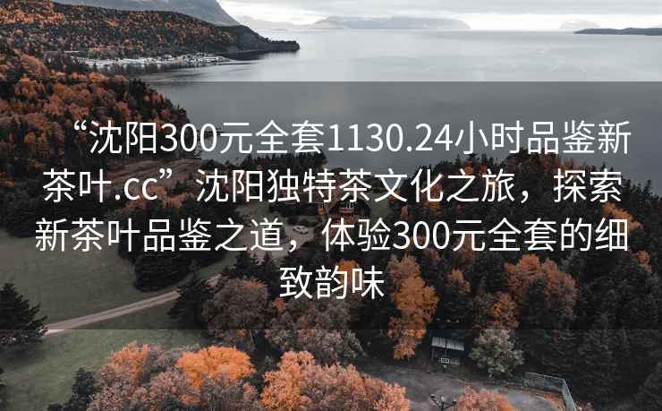 “沈阳300元全套1130.24小时品鉴新茶叶.cc”沈阳独特茶文化之旅，探索新茶叶品鉴之道，体验300元全套的细致韵味