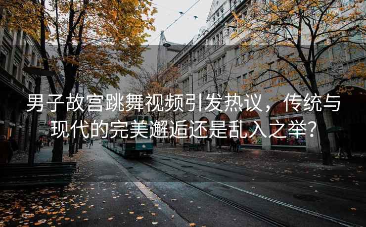 男子故宫跳舞视频引发热议，传统与现代的完美邂逅还是乱入之举？