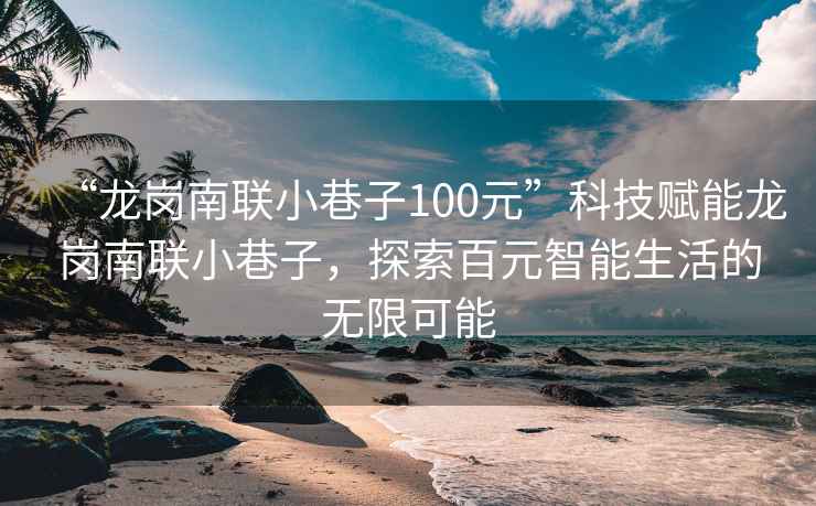 “龙岗南联小巷子100元”科技赋能龙岗南联小巷子，探索百元智能生活的无限可能