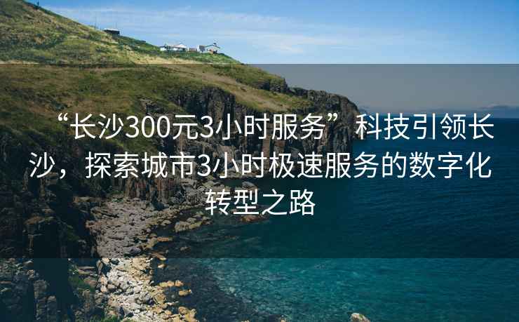 “长沙300元3小时服务”科技引领长沙，探索城市3小时极速服务的数字化转型之路