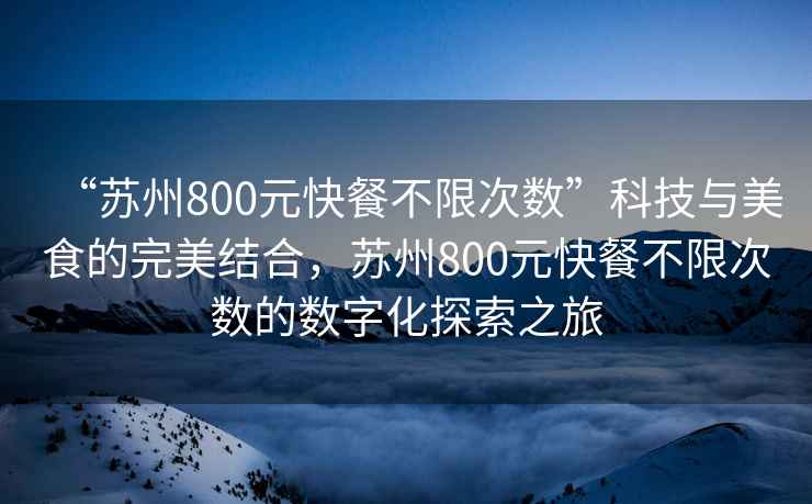 “苏州800元快餐不限次数”科技与美食的完美结合，苏州800元快餐不限次数的数字化探索之旅