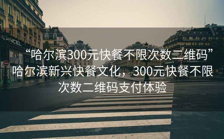 “哈尔滨300元快餐不限次数二维码”哈尔滨新兴快餐文化，300元快餐不限次数二维码支付体验