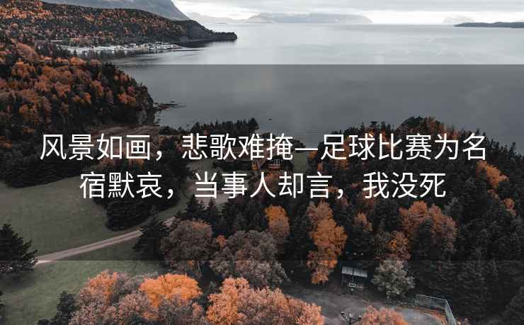 风景如画，悲歌难掩—足球比赛为名宿默哀，当事人却言，我没死