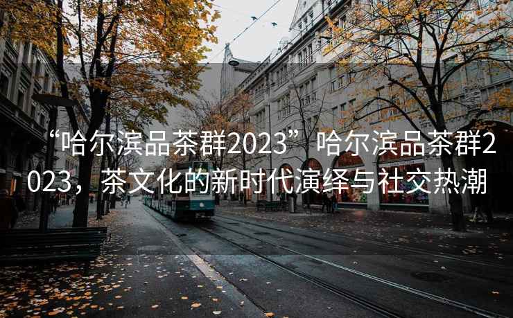 “哈尔滨品茶群2023”哈尔滨品茶群2023，茶文化的新时代演绎与社交热潮