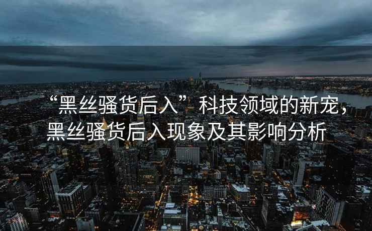 “黑丝骚货后入”科技领域的新宠，黑丝骚货后入现象及其影响分析