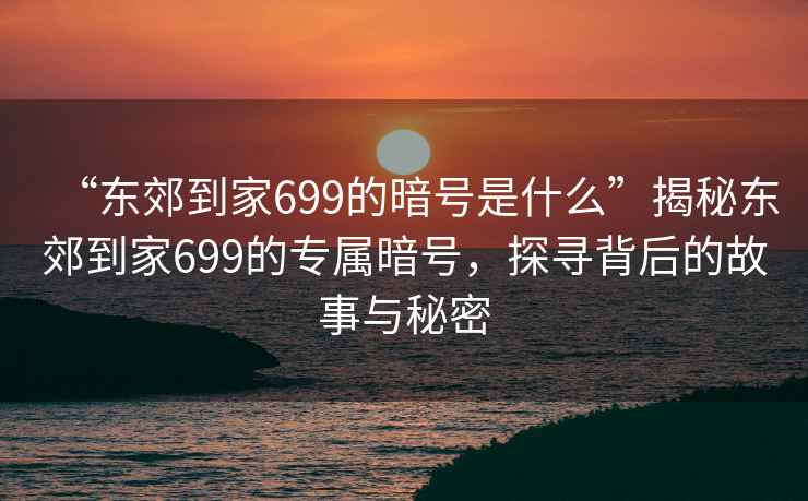 “东郊到家699的暗号是什么”揭秘东郊到家699的专属暗号，探寻背后的故事与秘密